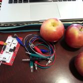 Circuit board and apples