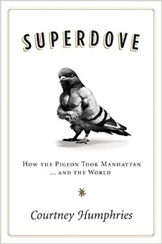 Superdove cover