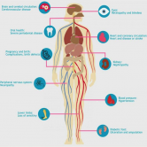 Figure 8: Diabetes’s harmful effects on the body