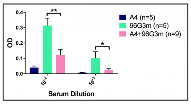 Figure 2 - Injection of 96G3m