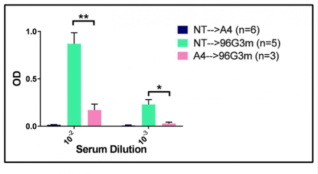 Figure 3 - reduced antibody response to 96G3m