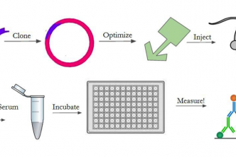 Figure 4 - Outline of experimental setup