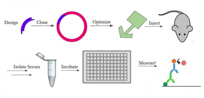 Figure 4 - Outline of experimental setup