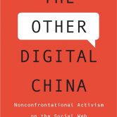 Book cover of "The Other Digital China" by Jing Wang