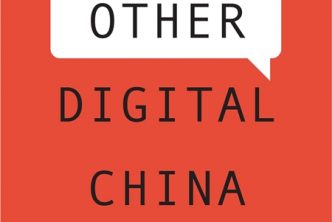 Book cover of "The Other Digital China" by Jing Wang