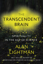 Book cover of The Transcendent Brain